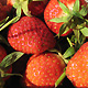 Erdbeeren im Bauernladen