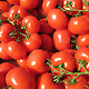 Tomaten im Bauernladen